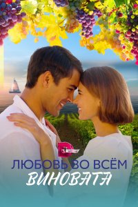 Любовь во всем виновата (1 сезон)